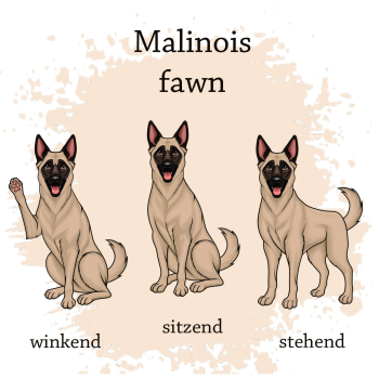 Preview: Motivauswahl der Dokumentenhülle für die Hunderasse Malinois fawn